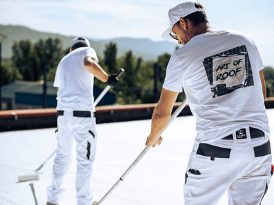 About Leaking Skylight Repair Pros Clifton, AZ